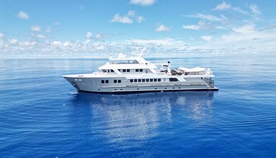 Compass Rose For Sale image93