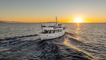 SULTANA For Sale image4