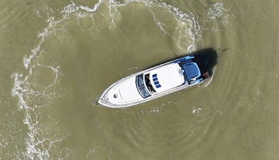 noname For Sale image79