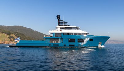 KING BENJI For Sale image6