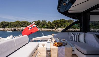 PREDATOR 55 For Sale image10