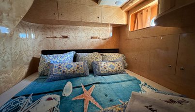 CURIOSITY For Sale image23