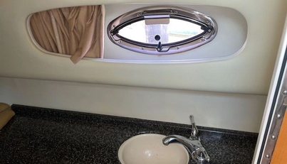 SEAHORSE For Sale image12