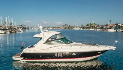 Eurybia For Sale image9