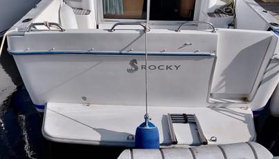 Rocky For Sale image12