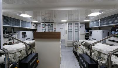 HELIOPHILIA For Sale image34