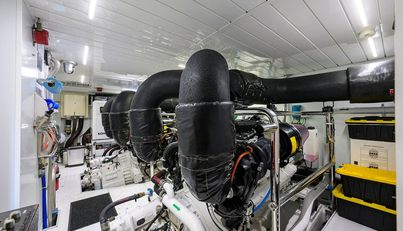 PHOENIX For Sale image143