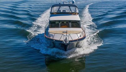 The Cotton Picker For Sale image2