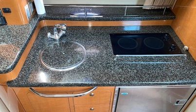 SEAHORSE For Sale image16