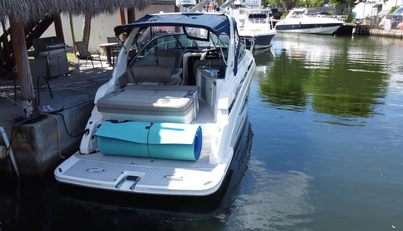 Panacea For Sale image3