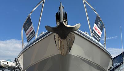 Southern Comfort For Sale image28
