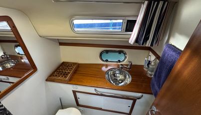 Morning Star For Sale image14