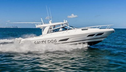 Salty Dog For Sale image1