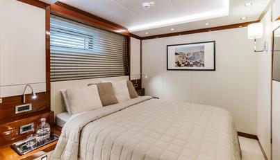 PAPILLON For Sale image16