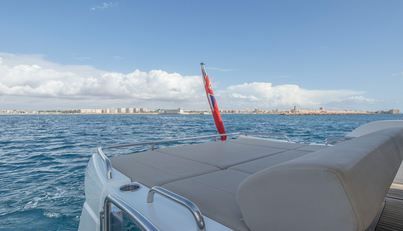 QUEEN B For Sale image11