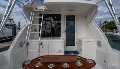 VET BILLZ For Sale image8