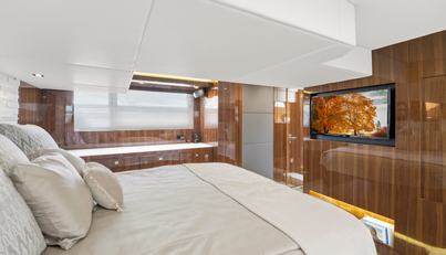 Tropical Dreamer For Sale image46