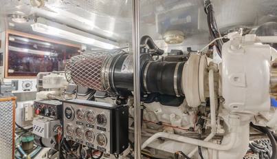 Tribeless For Sale image124