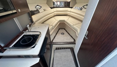 Sea Fin For Sale image17