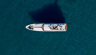 ENVY For Sale image16