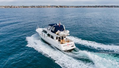 SILVIUS BRABO For Sale image13