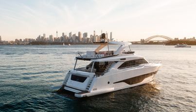 TOPAZ For Sale image18