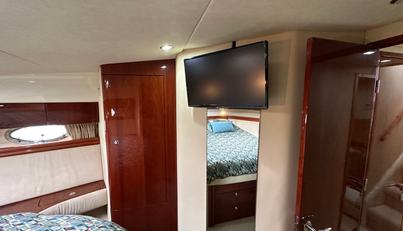 Gracie For Sale image35