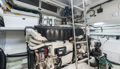 Tropical Dreamer For Sale image72