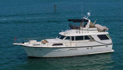 noname For Sale image1