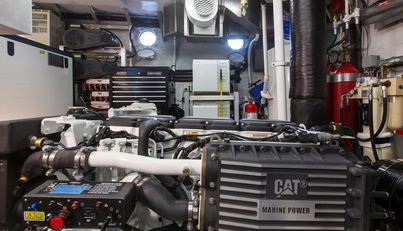 Stoneface For Sale image15