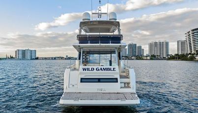 WILD GAMBLE For Sale image12