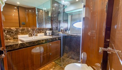 Sea Wolf For Sale image32