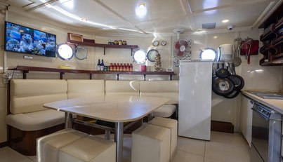 Donna Del Mare For Sale image16