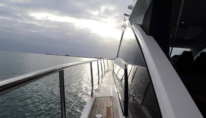 noname For Sale image45