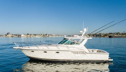 Bluefin For Sale image2