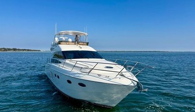 ADIOS For Sale image4