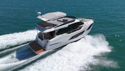 In Stock For Sale image2