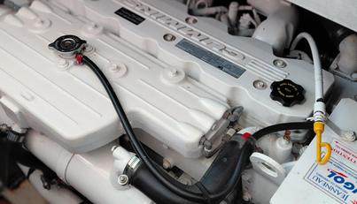 Dignity For Sale image44