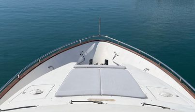 CURIOSITY For Sale image2