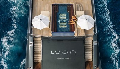 LOON For Sale image70