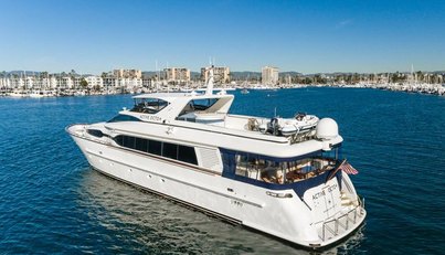 Active Octo For Sale image10