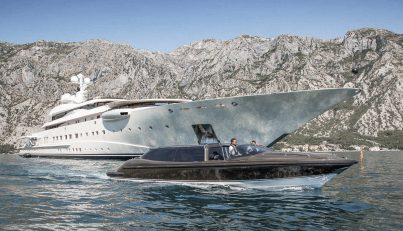Pelorus For Sale image21
