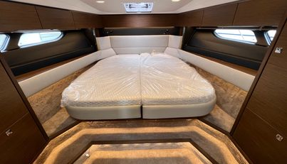 Mollie For Sale image26