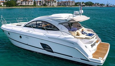 Alegria For Sale image2