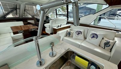 Tropical Dreamer For Sale image46