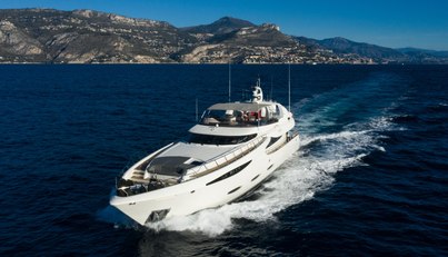VIKING III For Sale image1