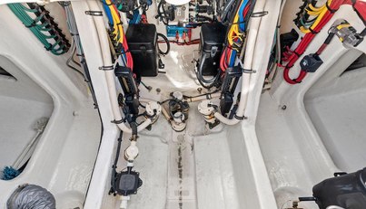 Salty Dog For Sale image37