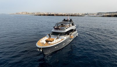 VENUS For Sale image28
