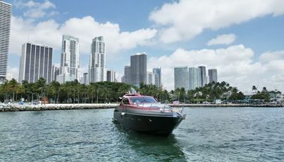 Notorius For Sale image4