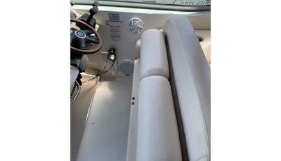 SeaHorse For Sale image11